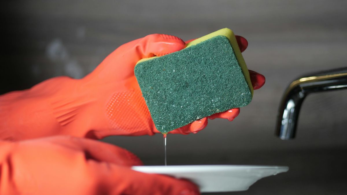 How Often You Should Replace Your Kitchen Sponge Might Surprise You