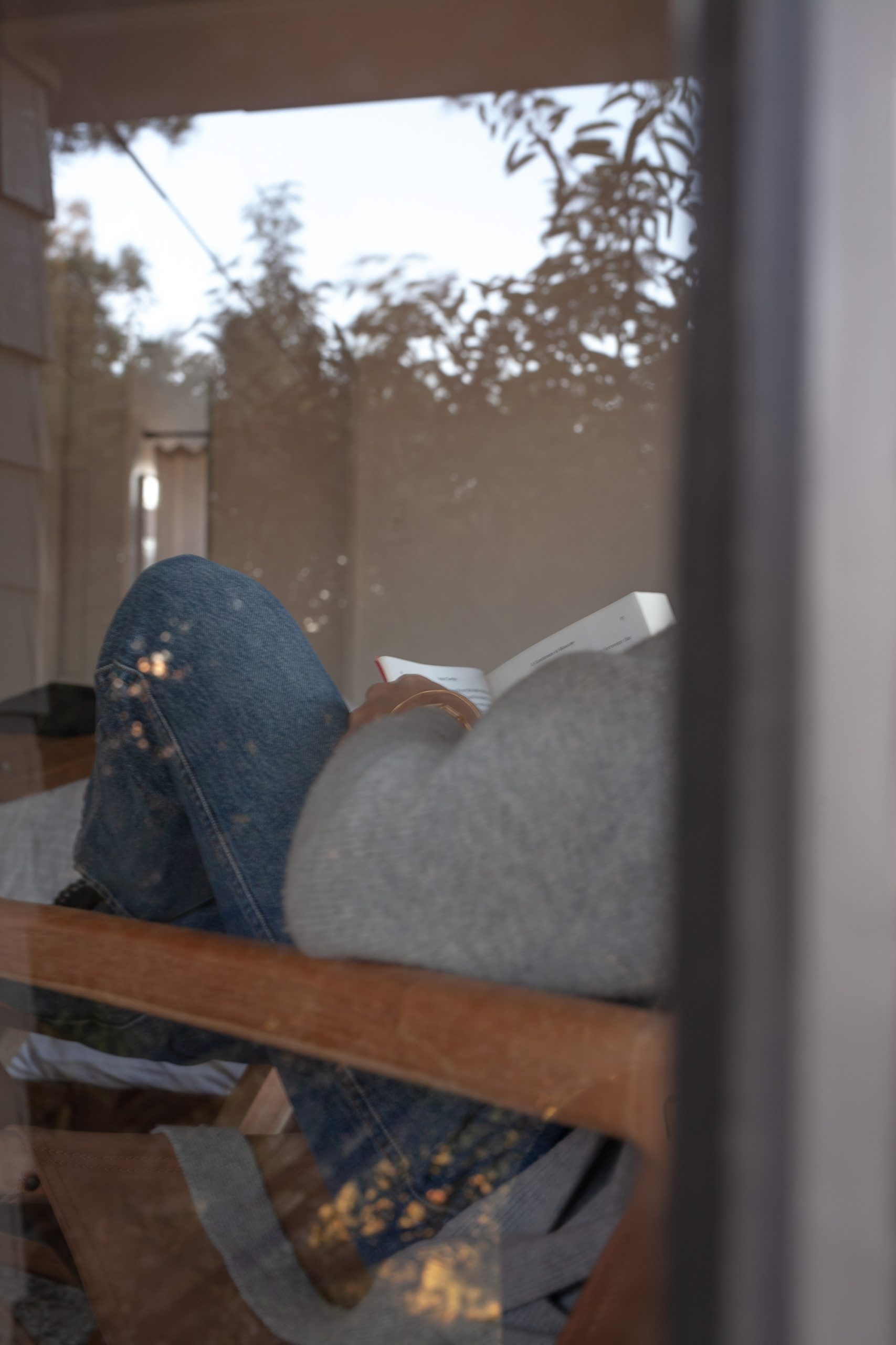 Read with Me: Seduction Theory by Emily Adrian with Book of the Month