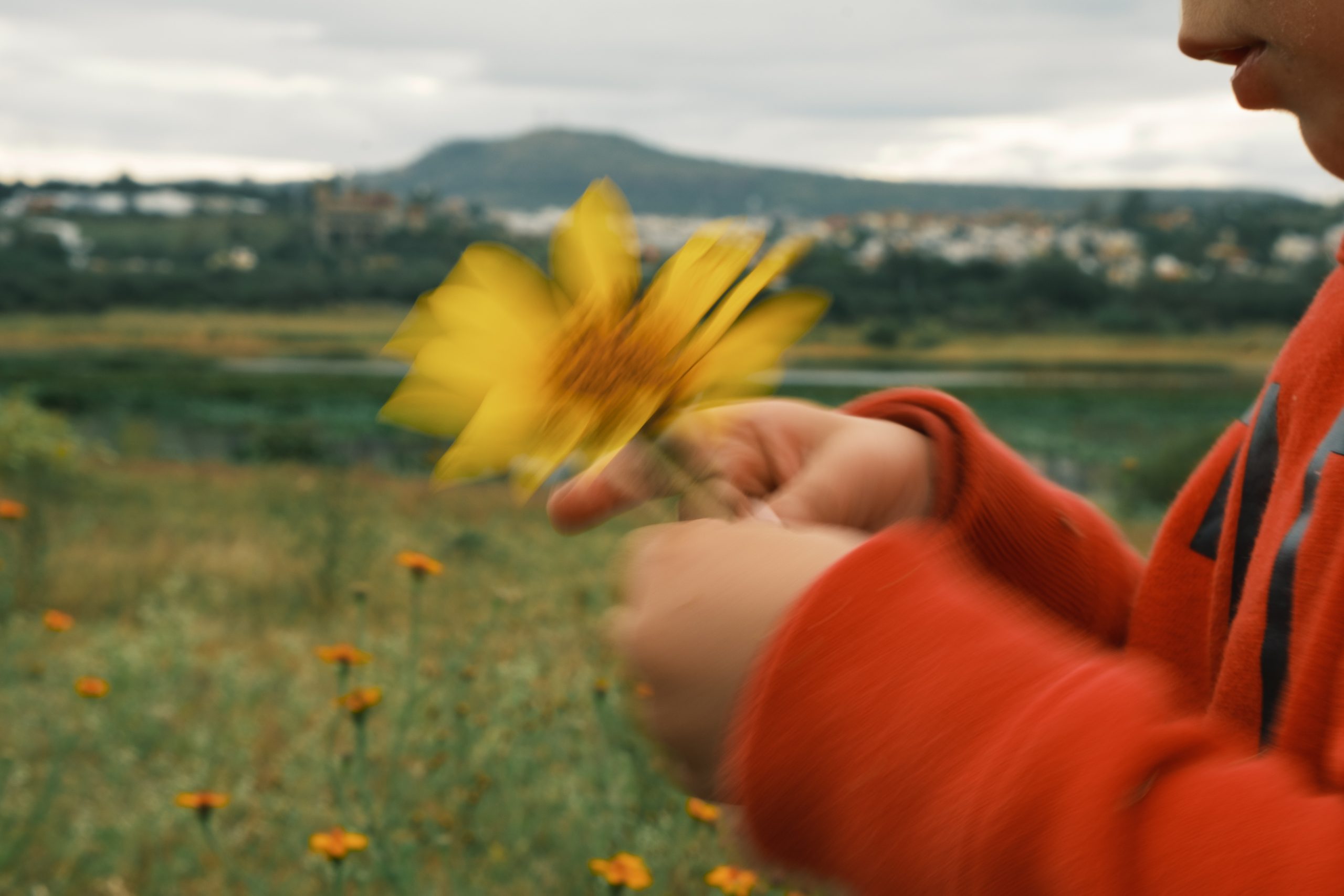 NATPAT Functional Stickers Offer Natural Solution Everyday Challenges