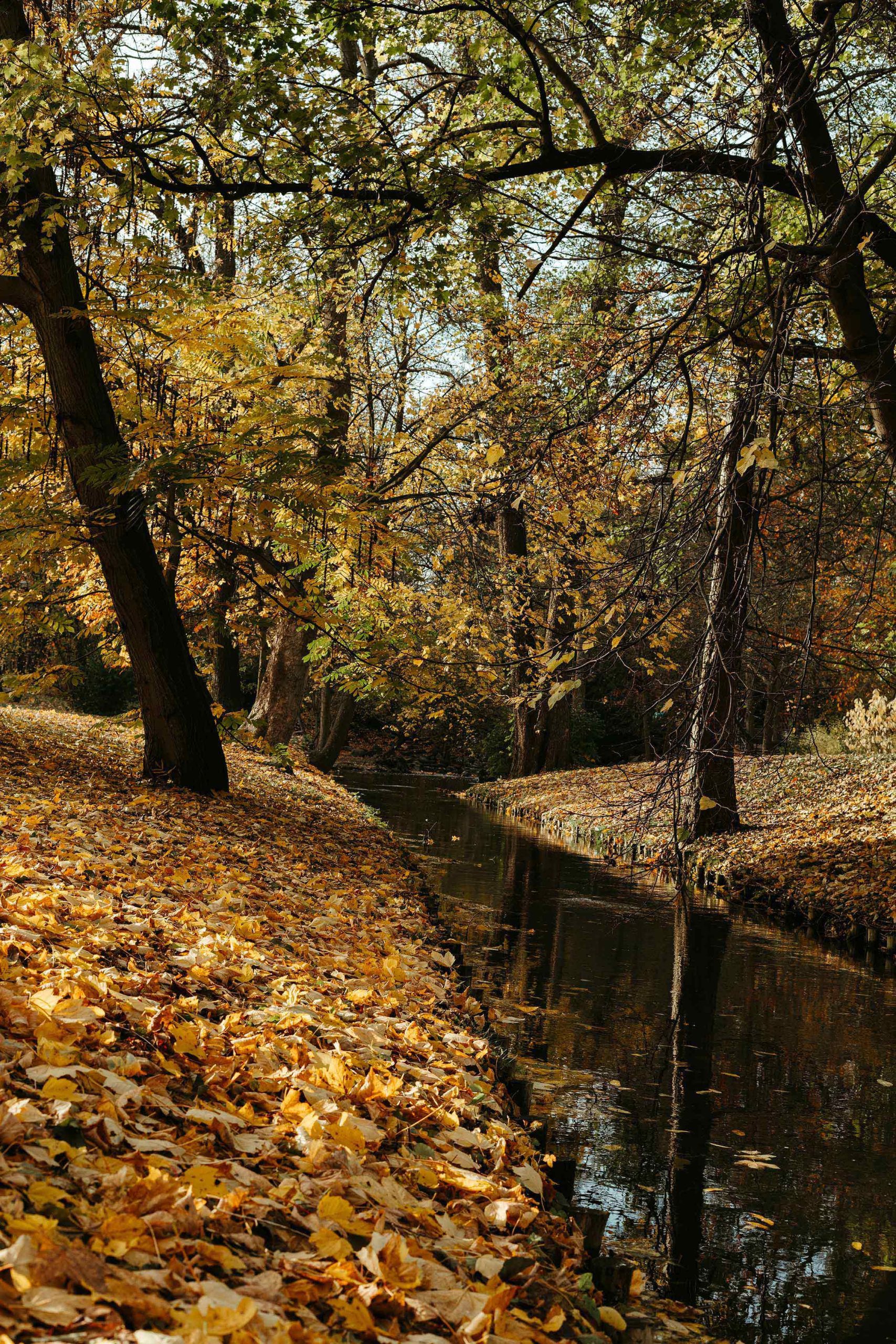 Fun Things to Do This Fall in DFW