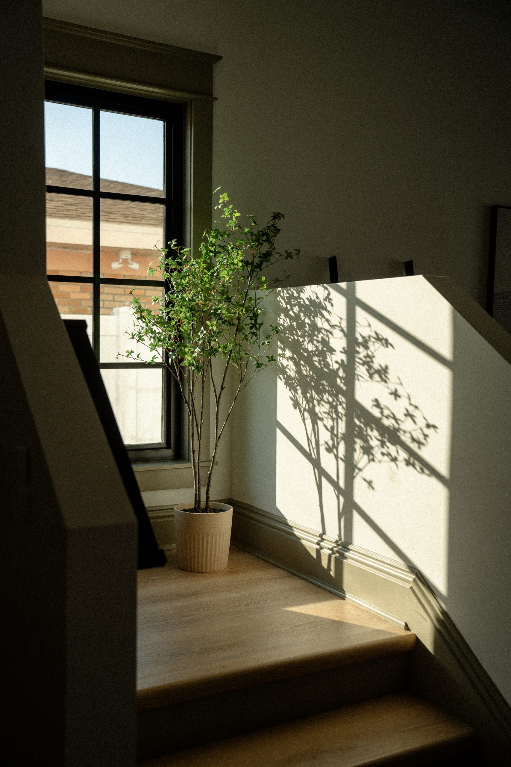 Single in Texas? Here’s Why Living Alone Won’t Break the Bank