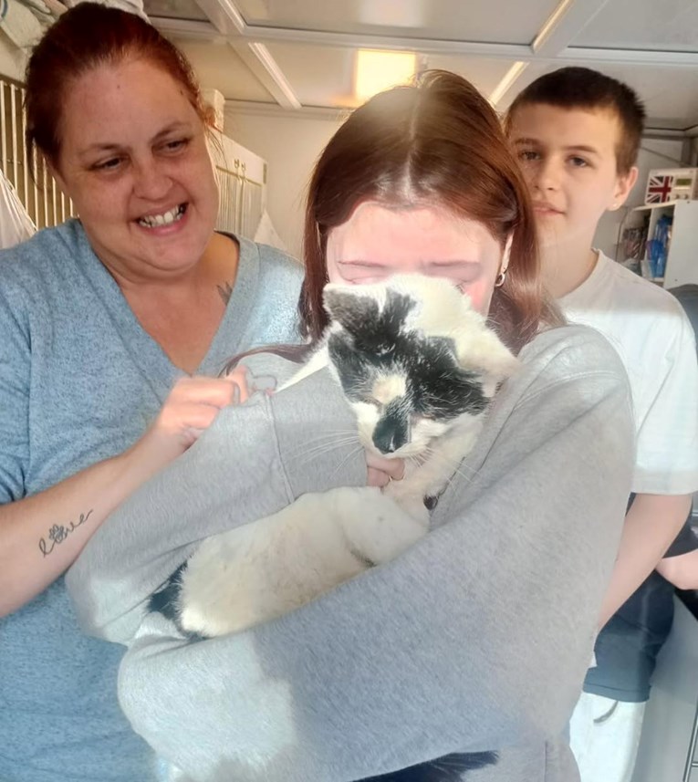 Felix the Missing Cat Comes Home for Christmas