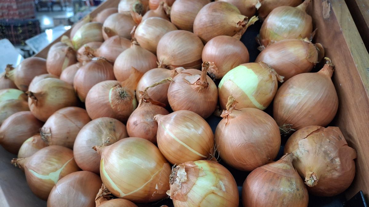 Why Onion Skins Deserve a Spot in Your Kitchen Routine
