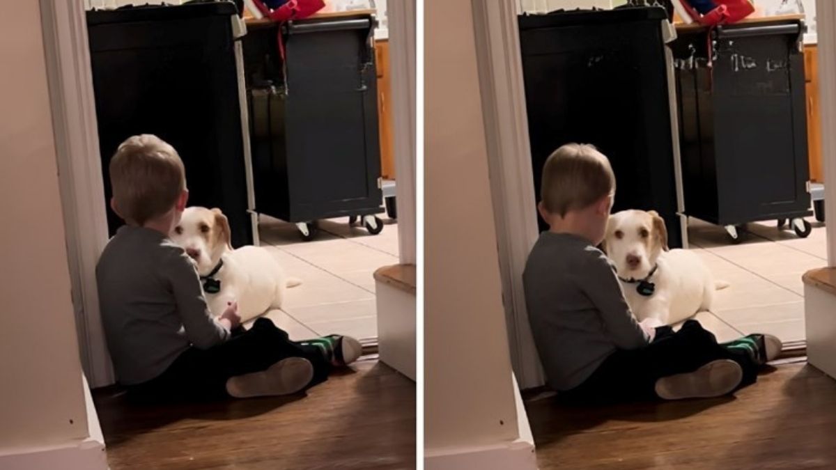 Little Boy Explains to His Dog Why He Cannot Run Away and the Video Moves Millions
