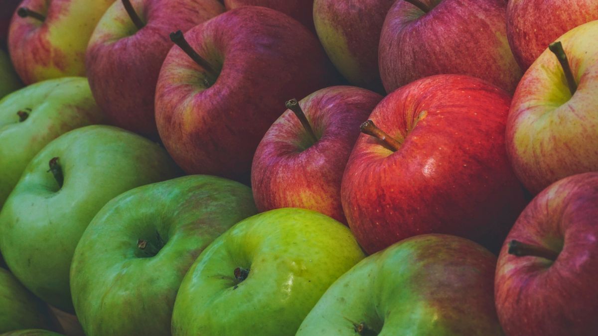 Types of Apples You Should Use for Baking vs Snacking