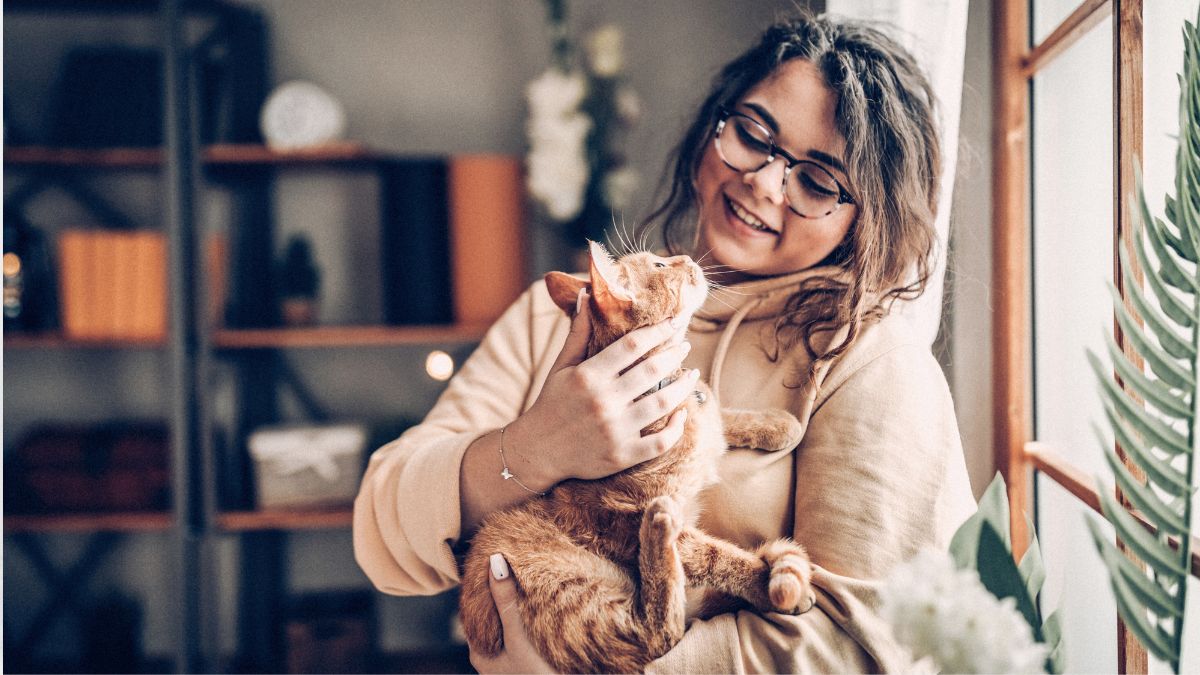 What Your Cat Is Telling You With Loud Meowing