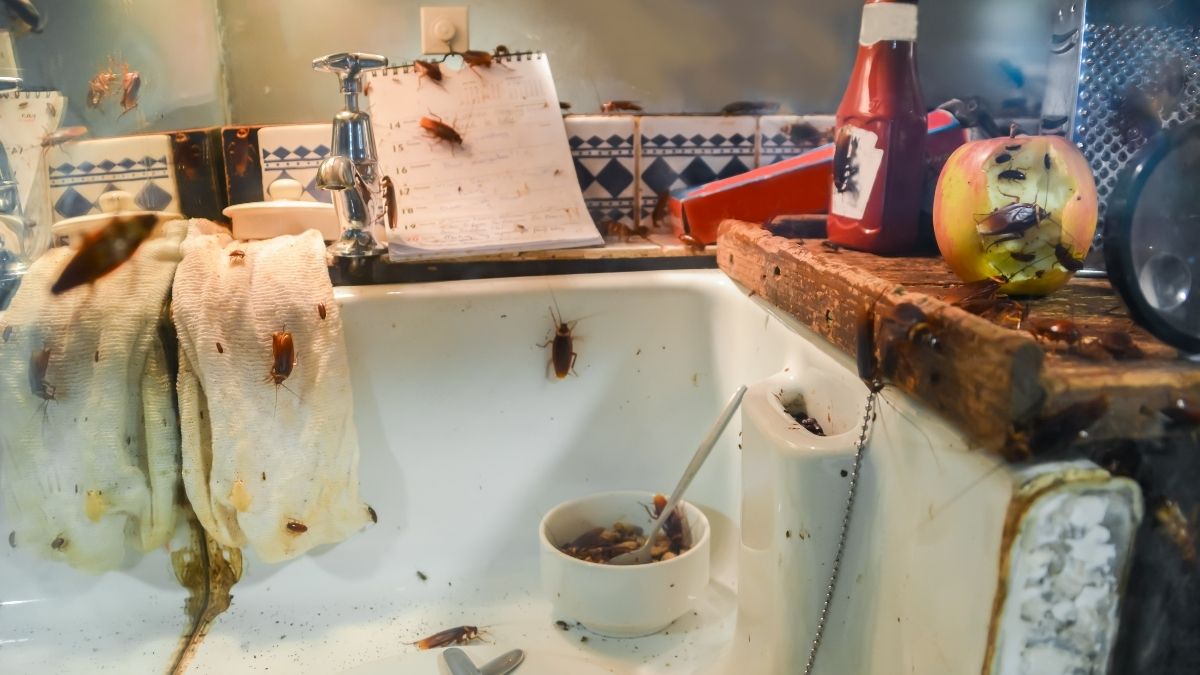 Household Objects That Are Dirtier Than a Toilet Seat