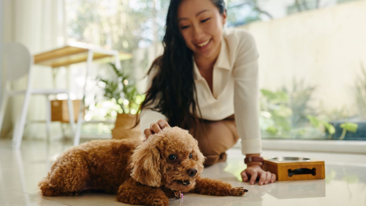 Dog Breeds That Are Surprisingly Good For Apartment Living