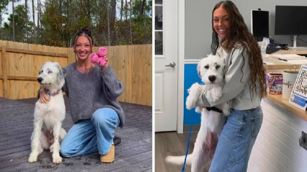 She Traveled Halfway Around the World to Adopt a Dog She Found Online