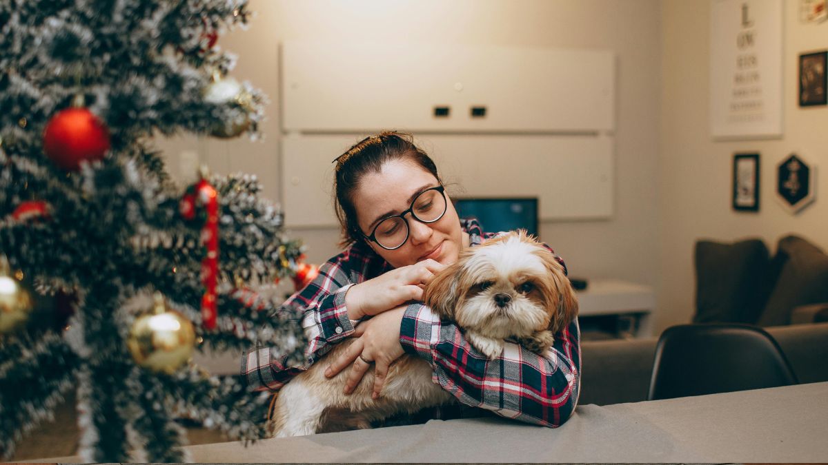 Signs Your Dog Loves You More Than Anyone Else