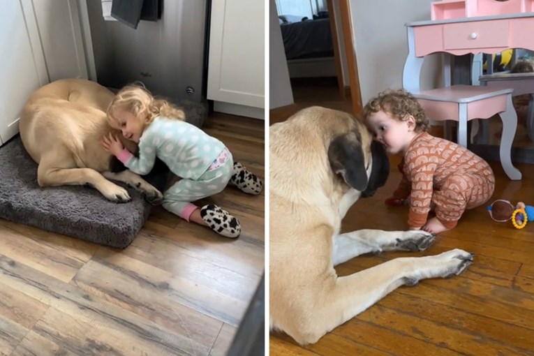 Family Takes A Chance On A Dog Afraid Of Kids And It Pays Off