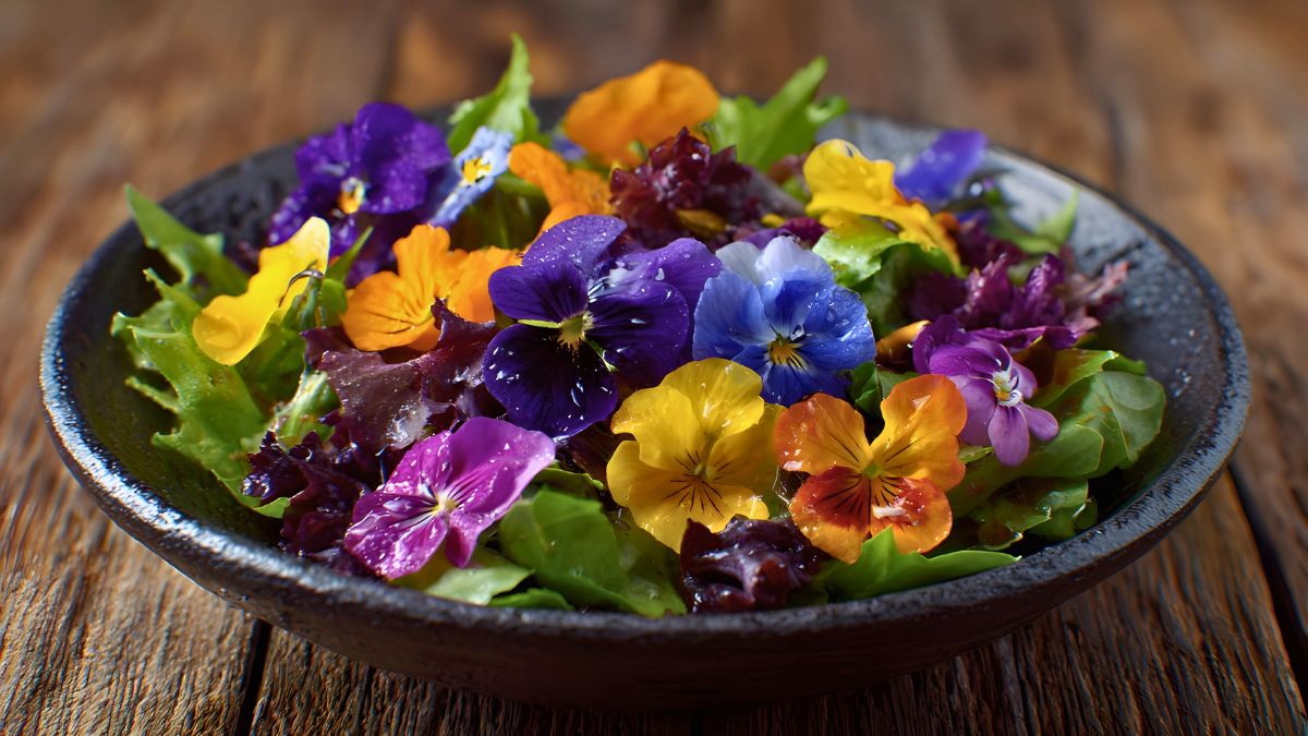 Edible Flowers That Make Any Dish Look Fancy