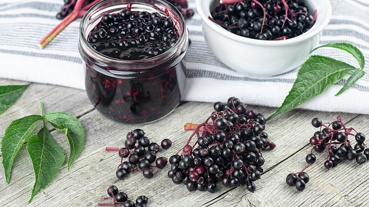 Fruits That Are Dangerous If Not Prepared Correctly