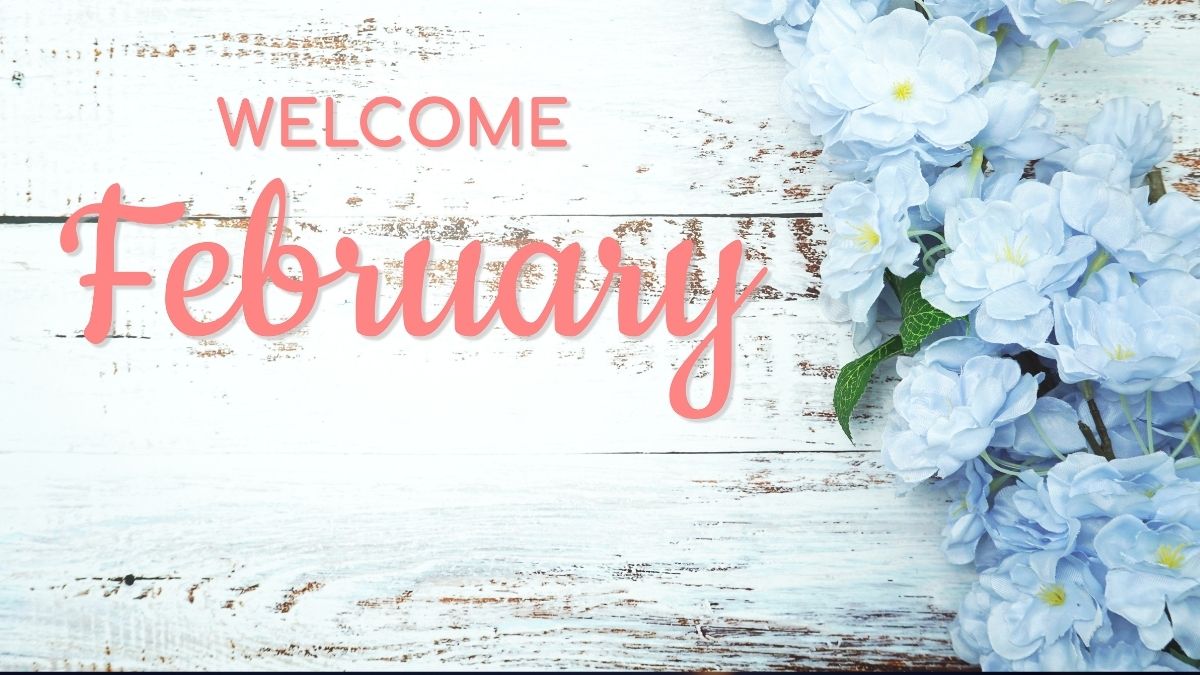 Capricorn Horoscope for February 2026: Your Monthly Stars Revealed