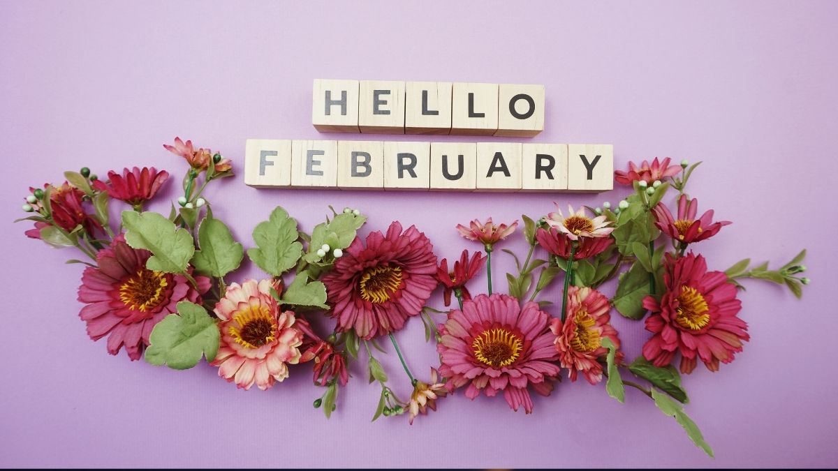 Virgo Horoscope for February 2026: Your Monthly Stars Revealed