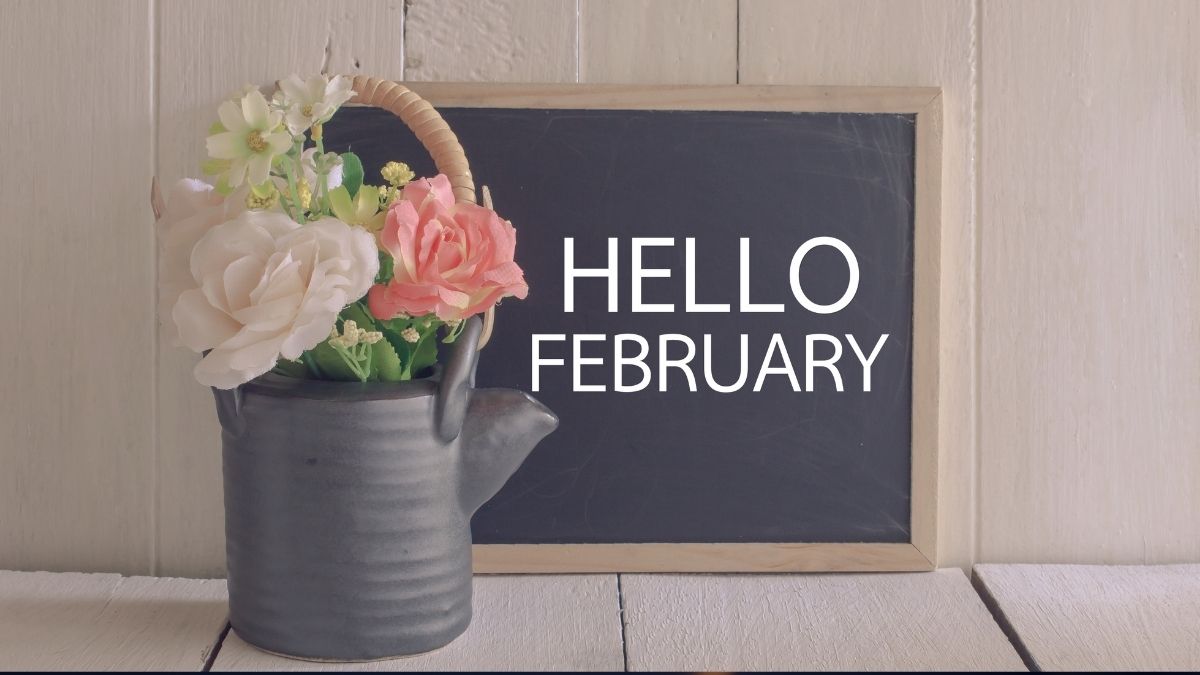 Sagittarius Horoscope for February 2026: Your Monthly Stars Revealed