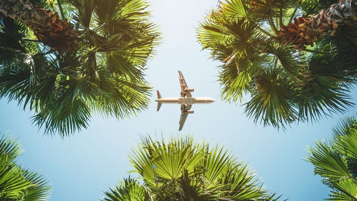 Foods You Should Never Eat Before a Long Flight