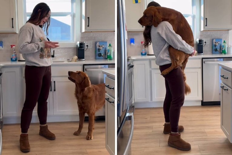 Sleepy Dog Insists on Morning Cuddles Until He Wakes Up