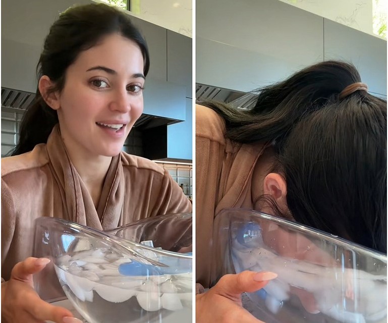 Internet Roasts the Price of the Water Bowl Kylie Jenner Uses
