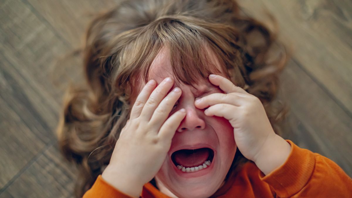 The Best Ways to Deal With a Toddler Tantrum in Public