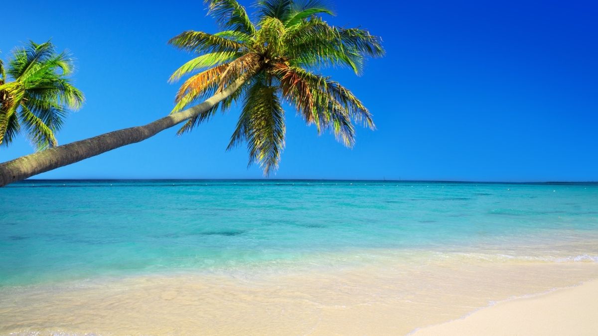 British Influencer Settles in Vietnam – Worlds Most Affordable Expat Destination