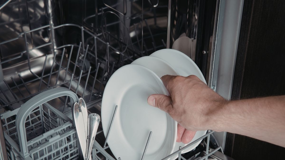 Why You Should Not Wash Fruits And Vegetables In The Dishwasher