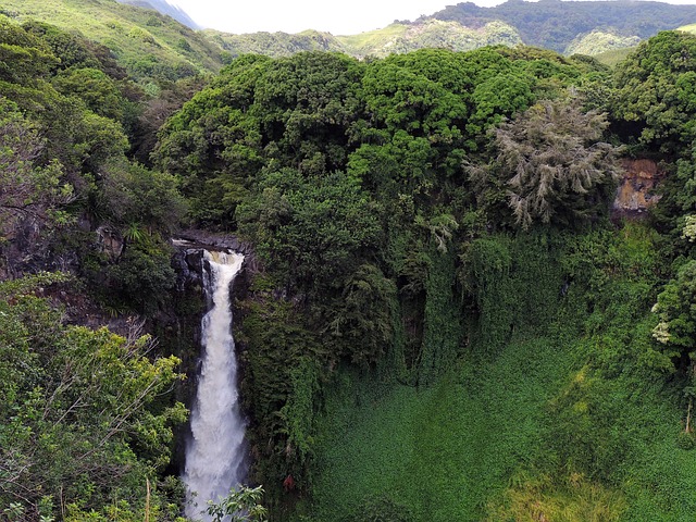 Maui Island Landscape With Beaches, Rainforests, And Waterfalls