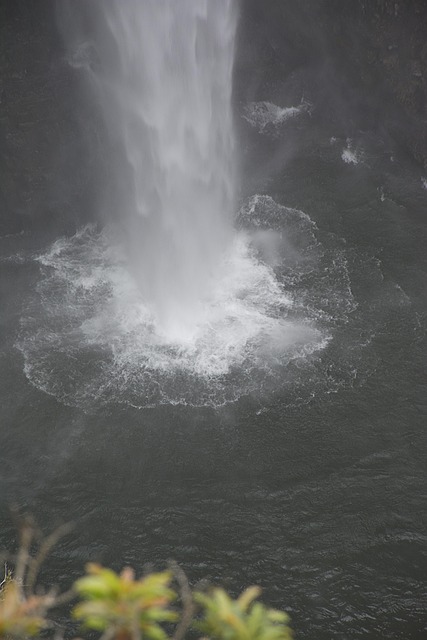 La Fortuna Waterfall Hike Rainforest Plunge Pool