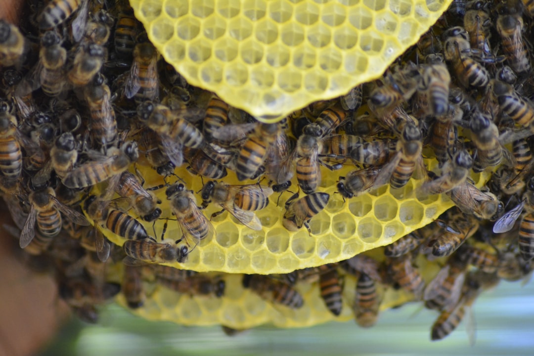 Bee Working In A Hive, Surrounded By Honeycomb And Flowers, Showcasing Industriousness And Community Effort