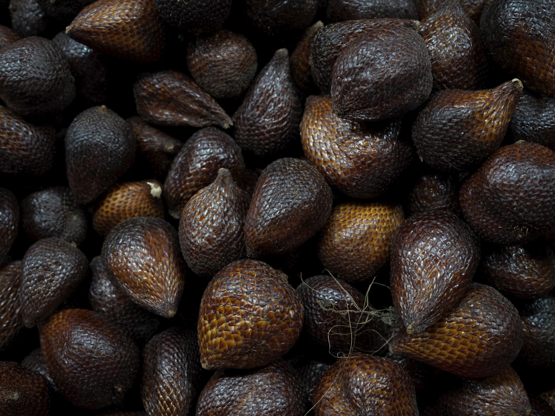 Snake Fruit