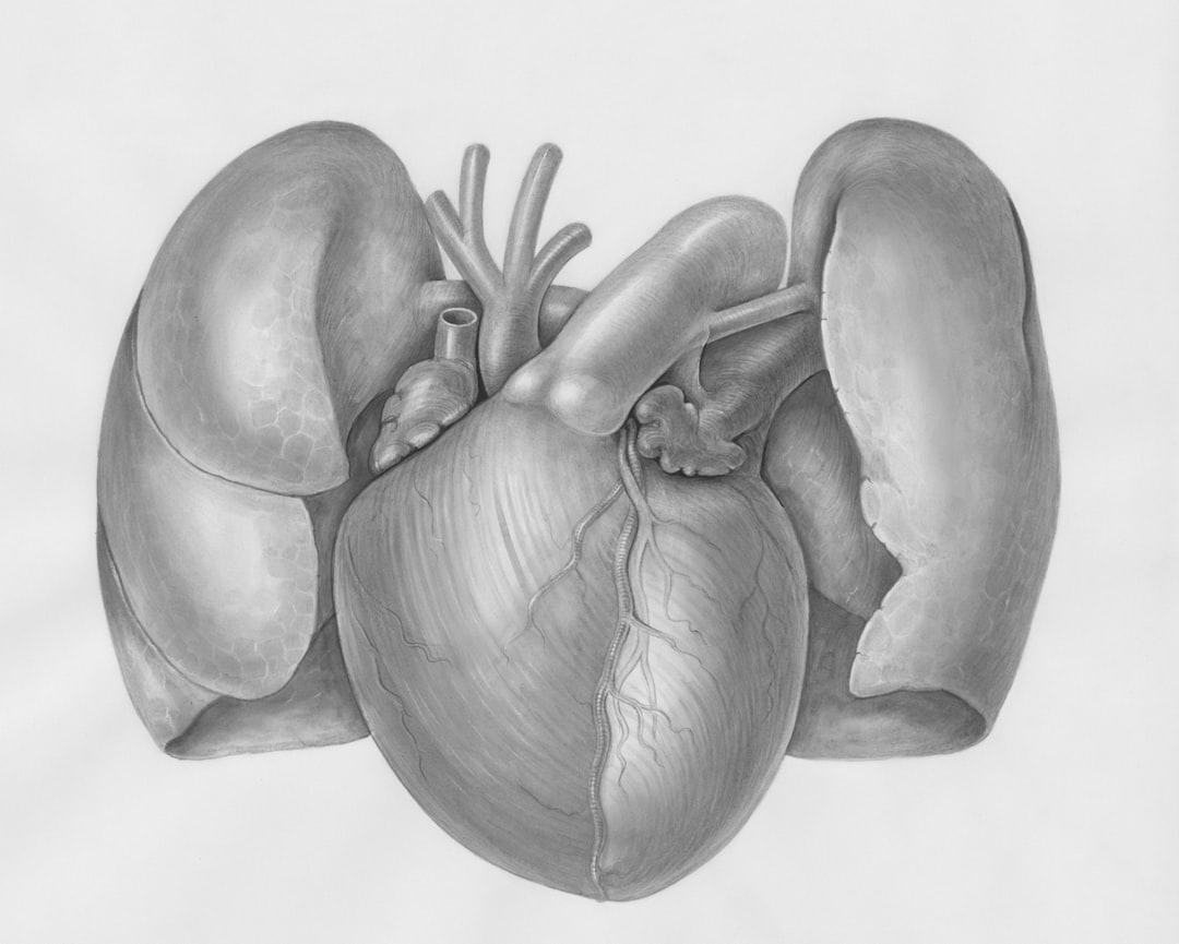 Heart With Irregular Heartbeat Illustration