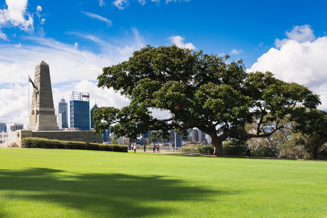 Perth City Center Modern Clean Free Bus Zones Kings Park Green Space Outdoor Lifestyle