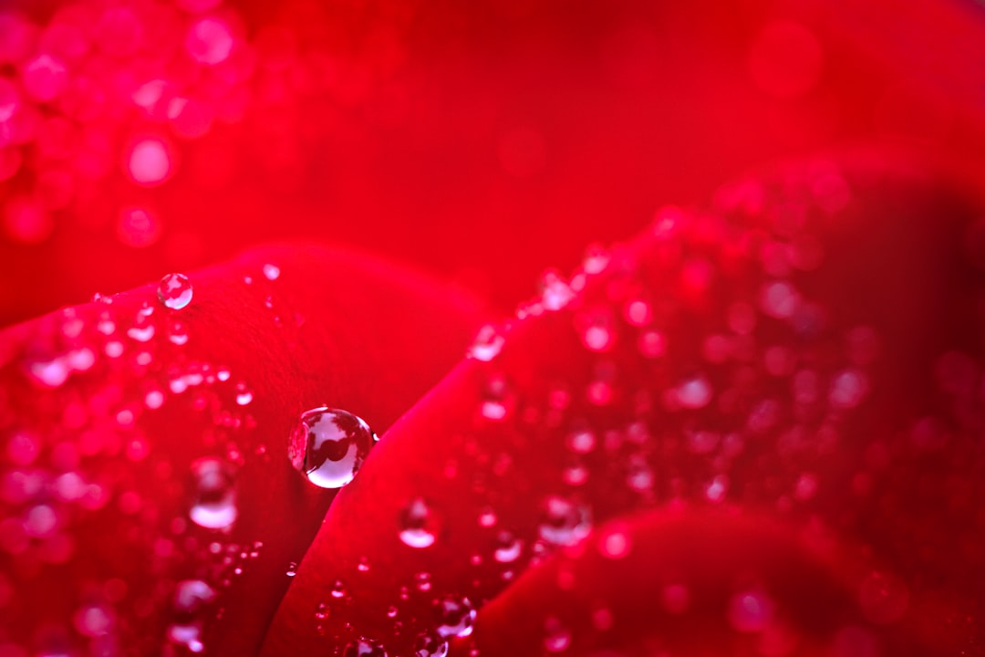 Ruby Gemstone Close-up With Vibrant Red Color, Set Against A Soft, Calming Background To Symbolize Protection And Emotional Strength