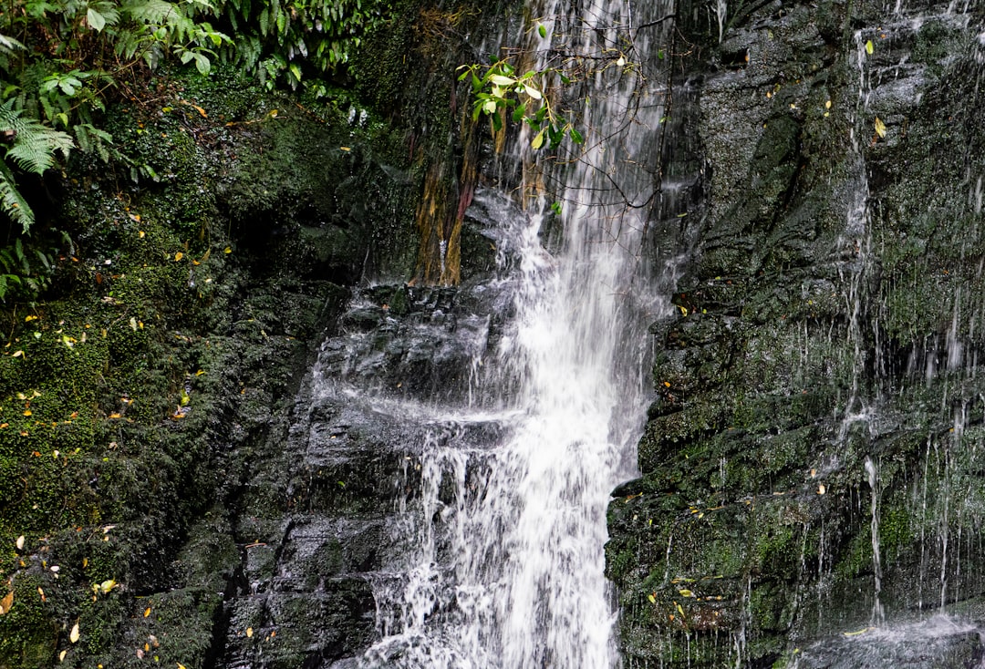 Wallaman Falls Queensland Rainforest Waterfall Hiking