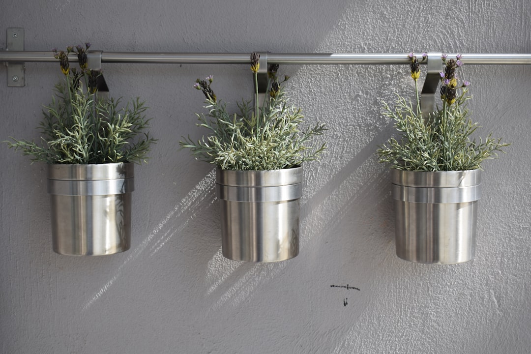 Minimalist Wall Hooks With Hanging Plant Pots