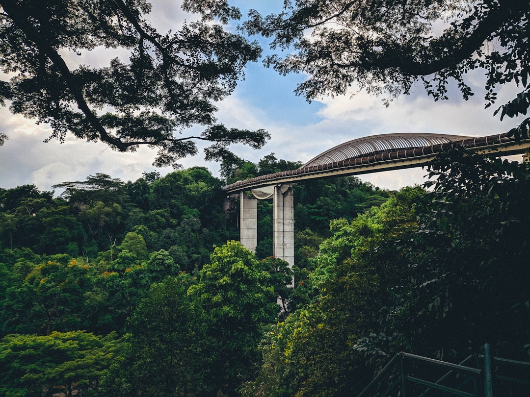 Henderson Waves Bridge