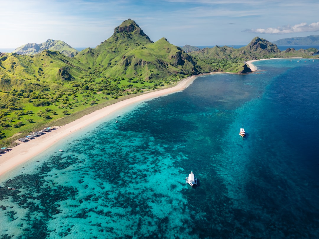 Palau Coral Reefs Snorkeling