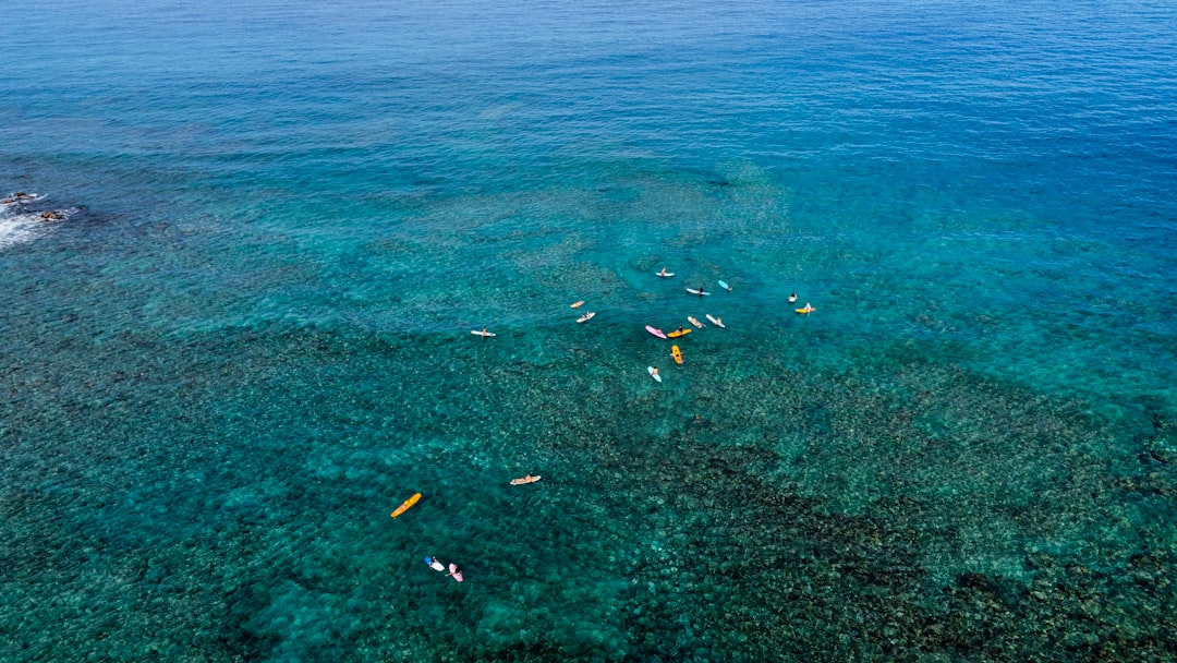 Hawaii Coral Reef Snorkeling Clear Water Colorful Fish