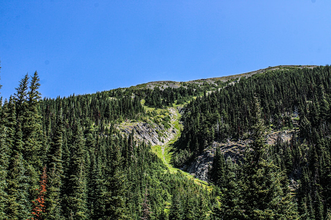 Mountain Landscape With A Hiker Trekking Through Nature