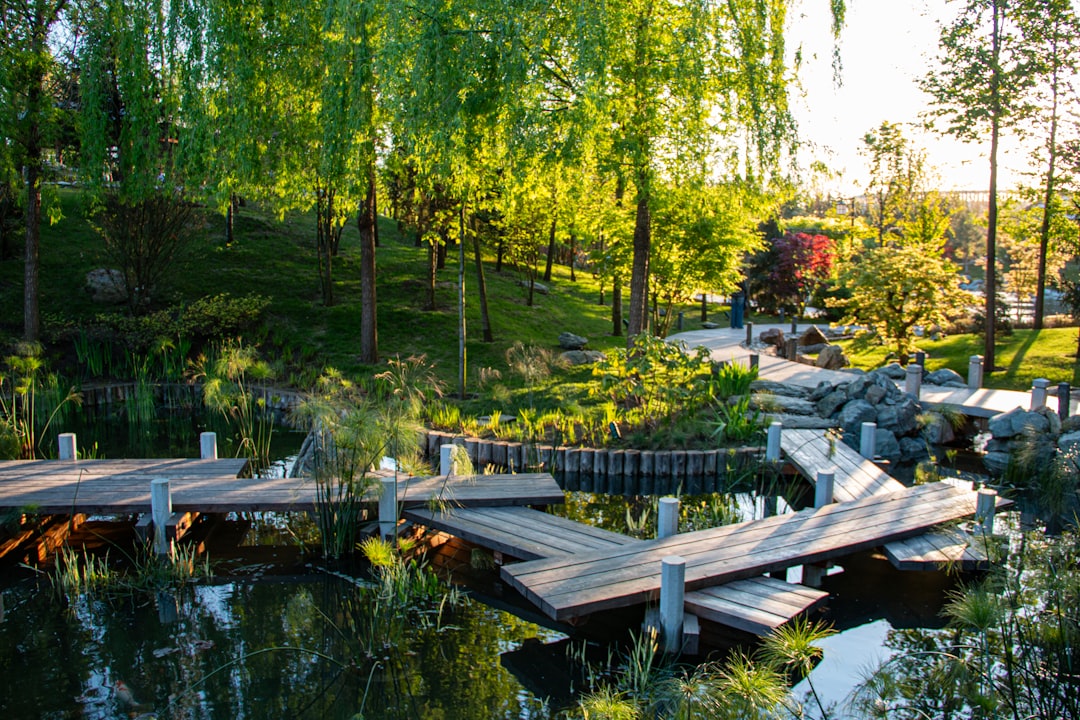 Libra Zodiac Sign Nature Beauty Parks Gardens Lakeside Outdoor Markets