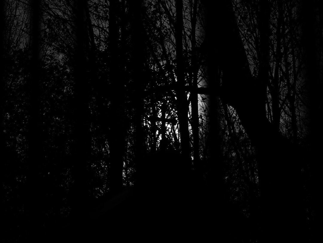 Scorpio Nature Love Intense Private Mysterious Woods Deep Water Night Skies Solo Walks Diving Night Hiking