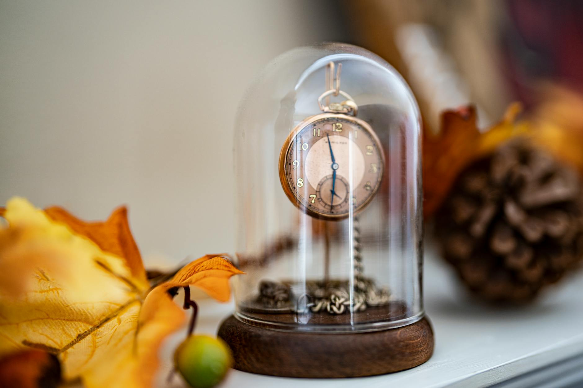 Glass Cloche Dome With A Flower And Vintage Pocket Watch Inside