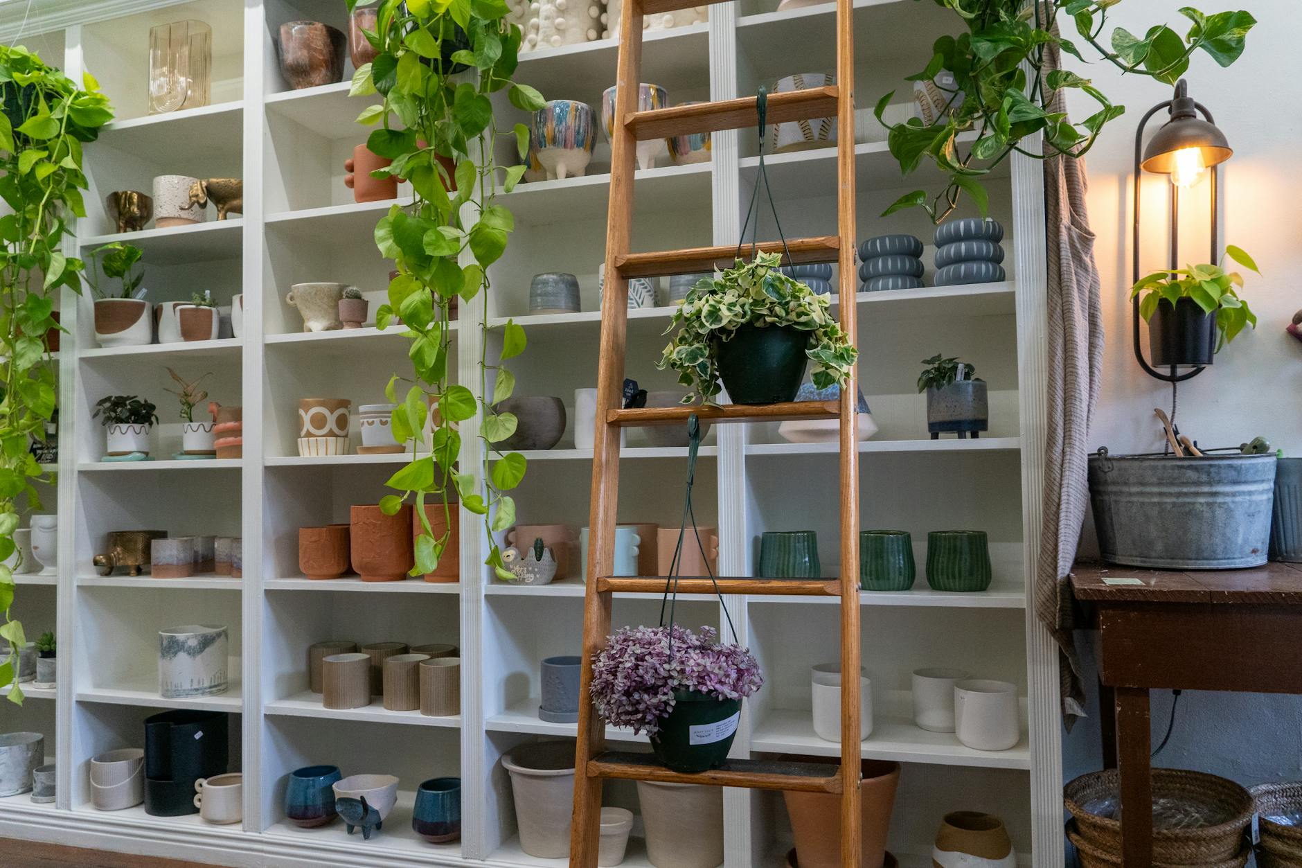 Ladder Style Shelving With Potted Plants Against A Wall