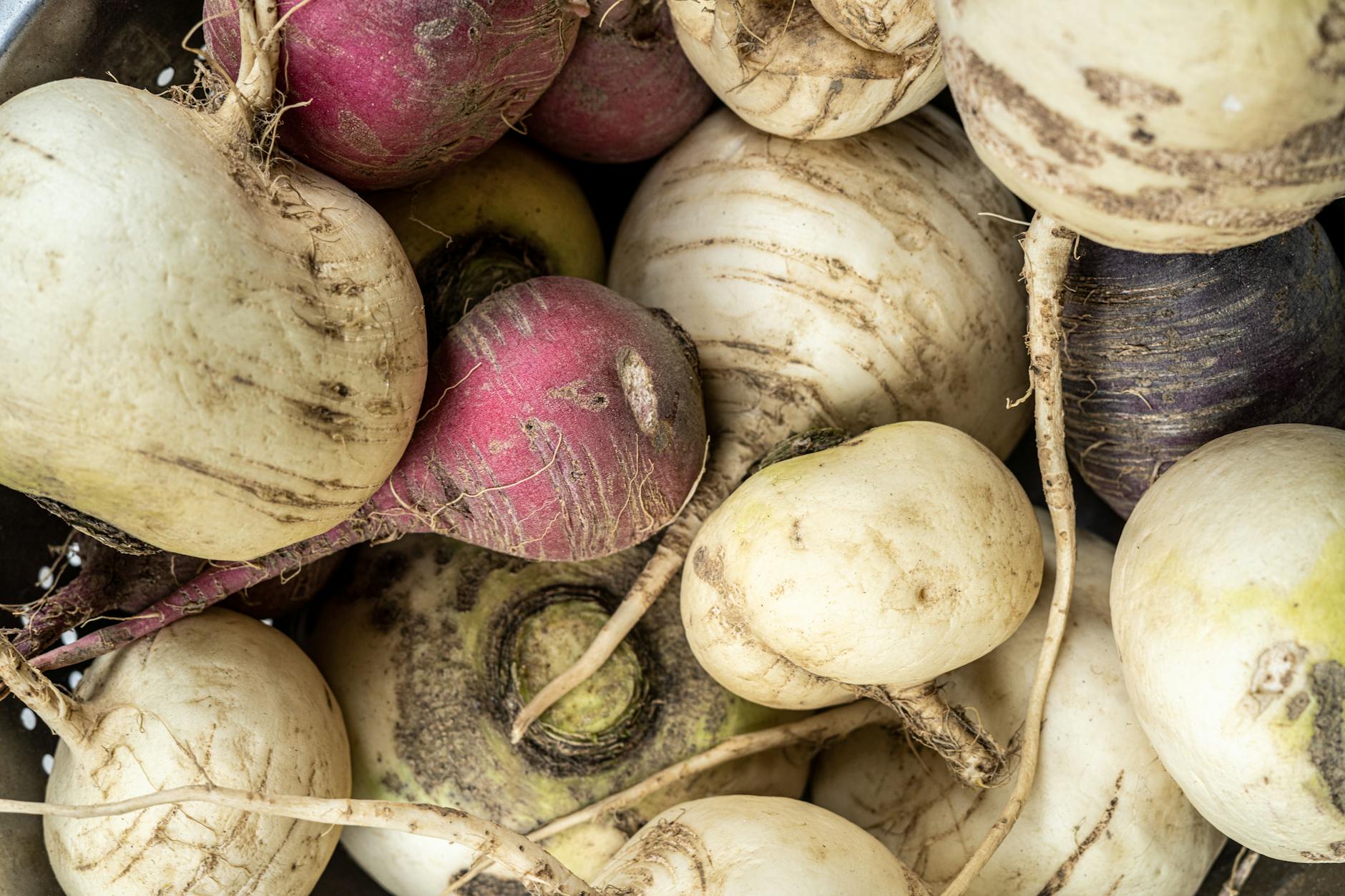 Turnips Vegetable