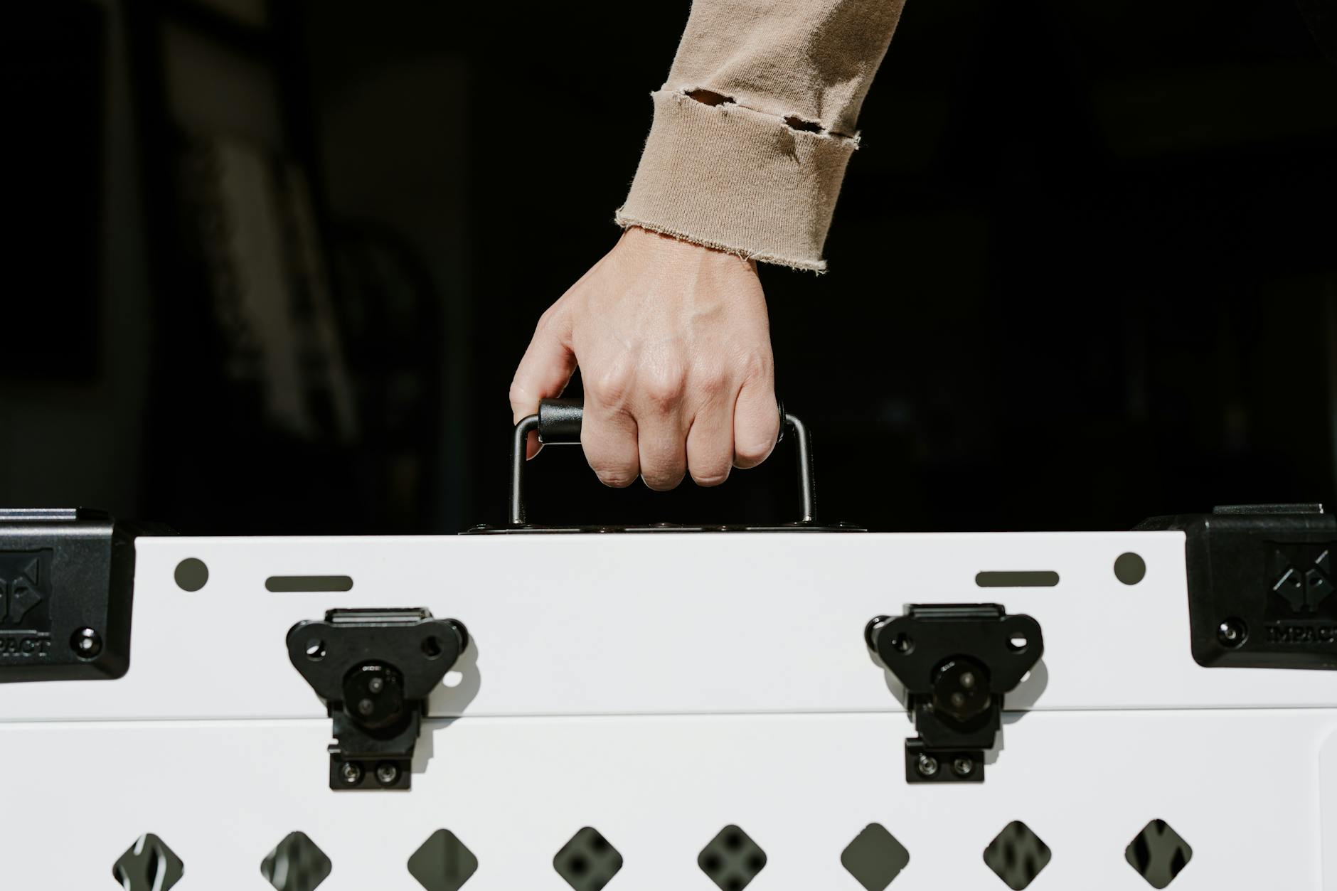 Luxury Dog Travel Carrier With Plush Bedding And Ventilation Mesh