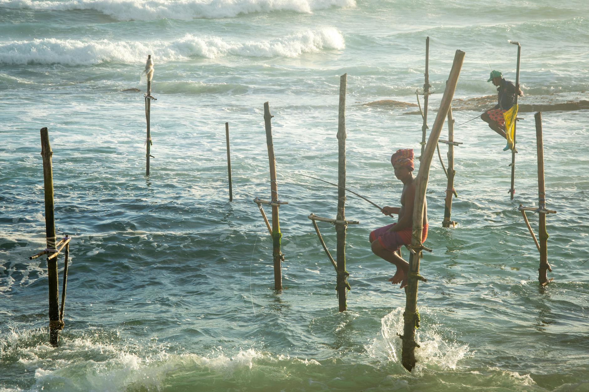 Sri Lanka Island Landscape With Tea Plantations, Misty Hills, Golden Beaches, Stilt Fishermen, And Ancient Rock Fortresses