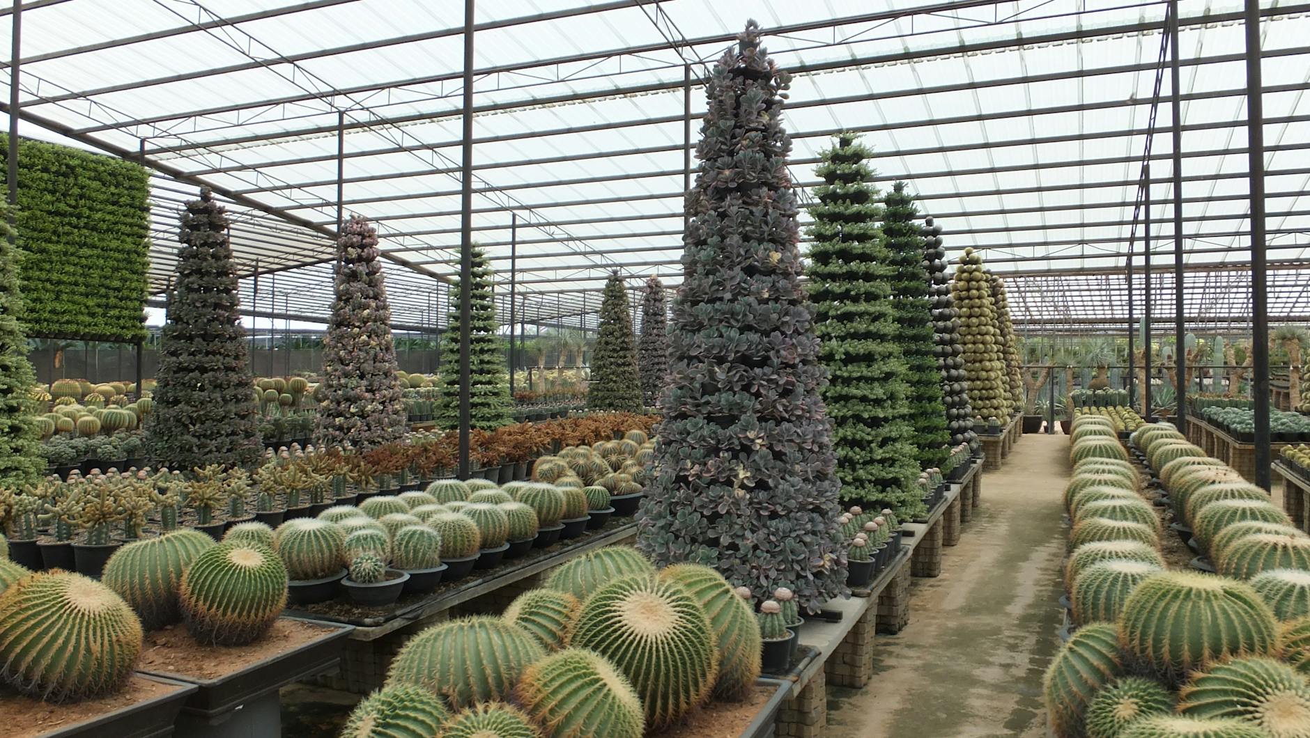 Nong Nooch Tropical Botanical Garden