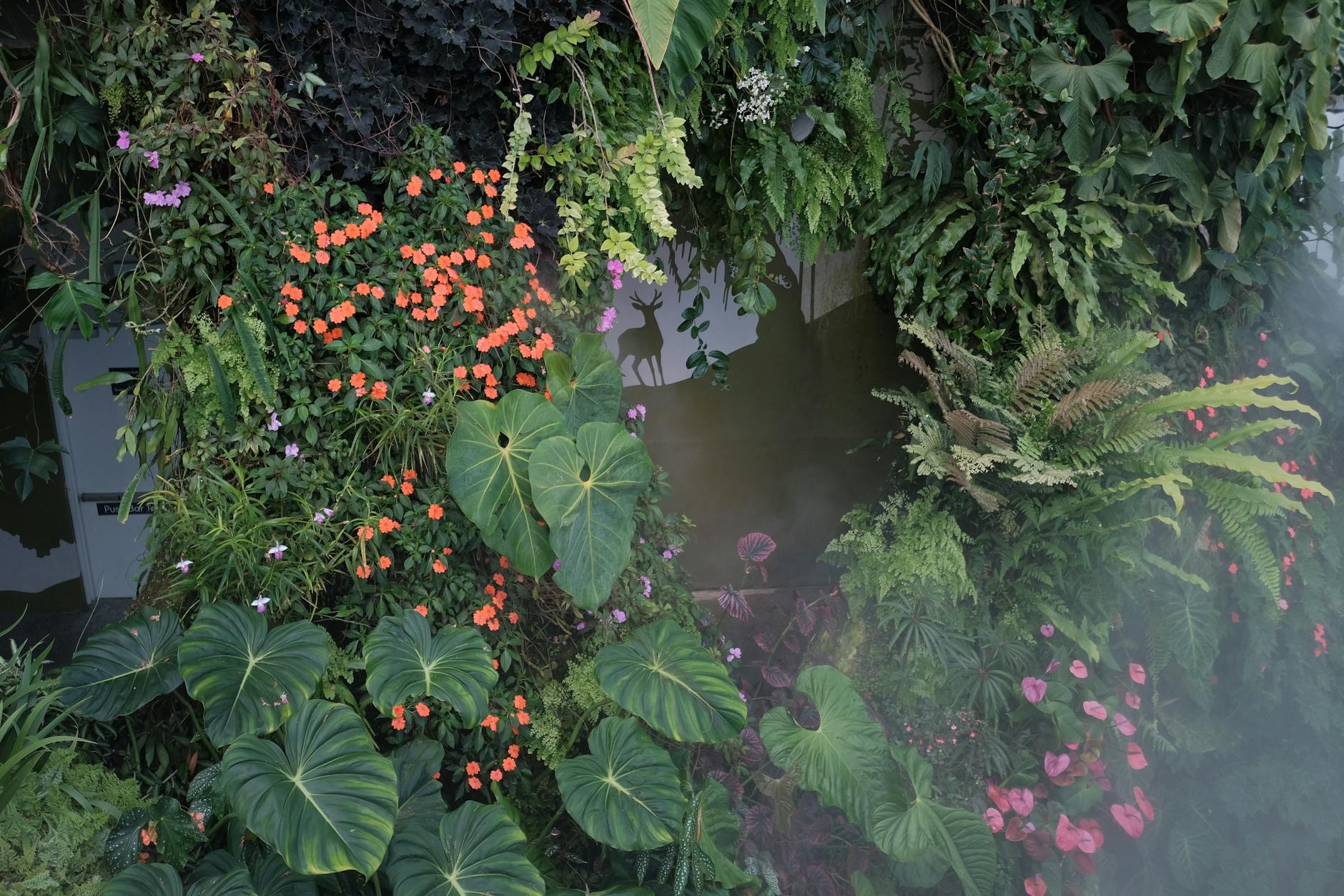 Singapore Botanic Gardens Landscape With Rainforest Greenery, Lawns, Lakes, And Orchid Displays