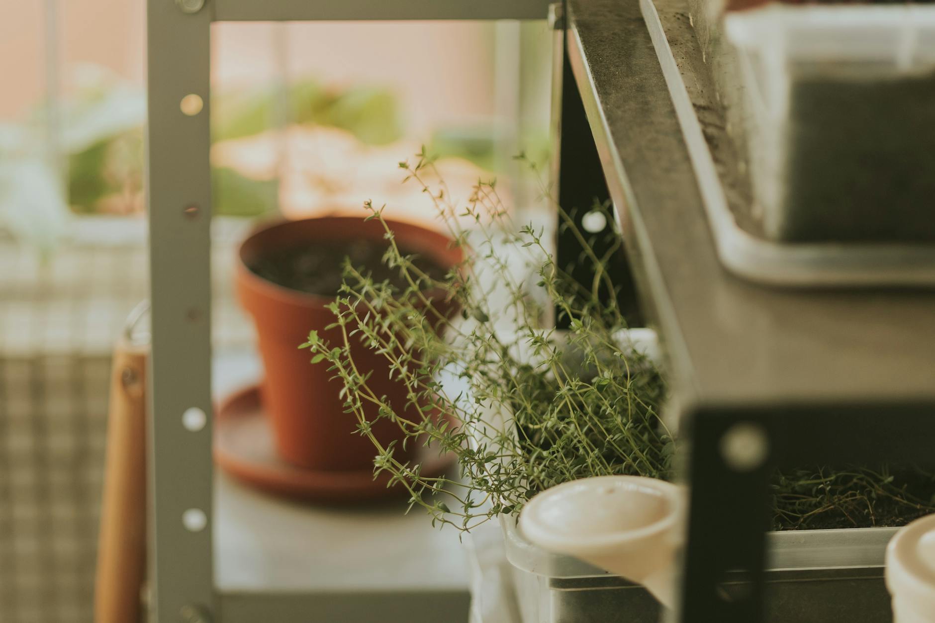 Triangular Corner Shelf Units For Balcony Gardens With Small Pots And Decorative Lanterns