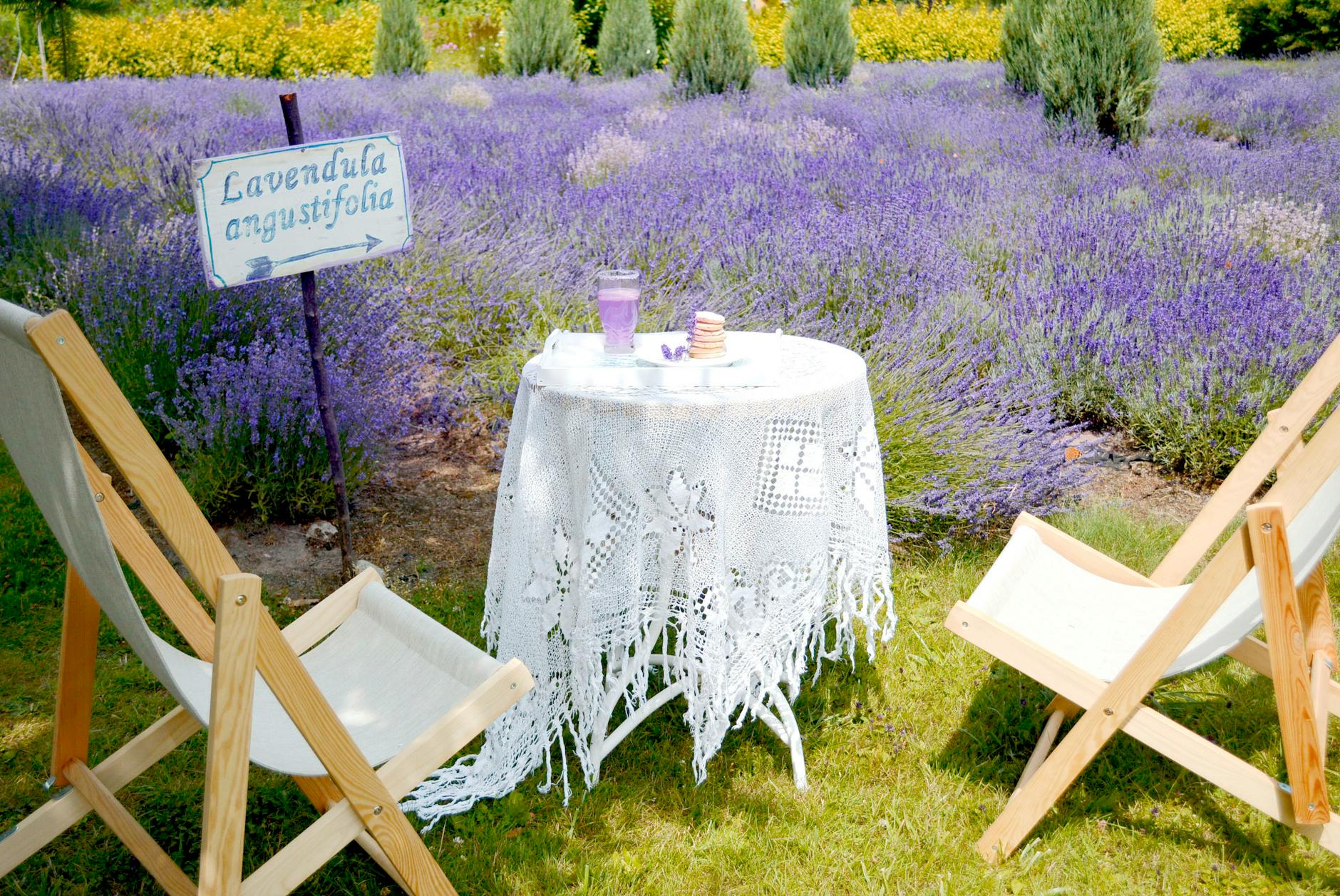 Taurus Zodiac Sign Nature Activities Gardening Picnics Botanical Gardens